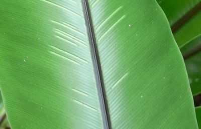 ���������ɃL�[��������